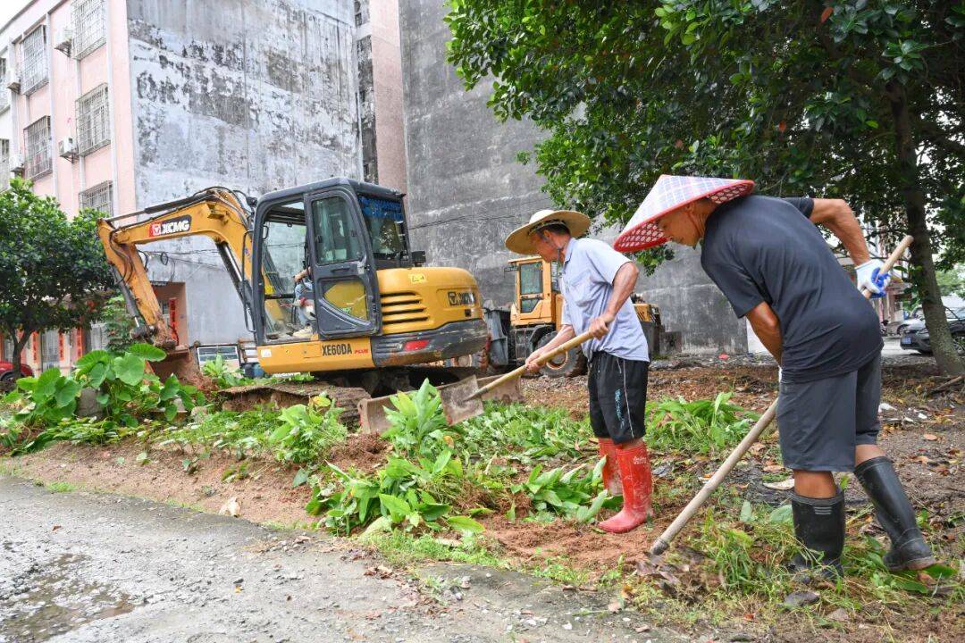 全民动员筑牢基孔肯雅热防控网！阳江持续开展爱国卫生运动统一行动